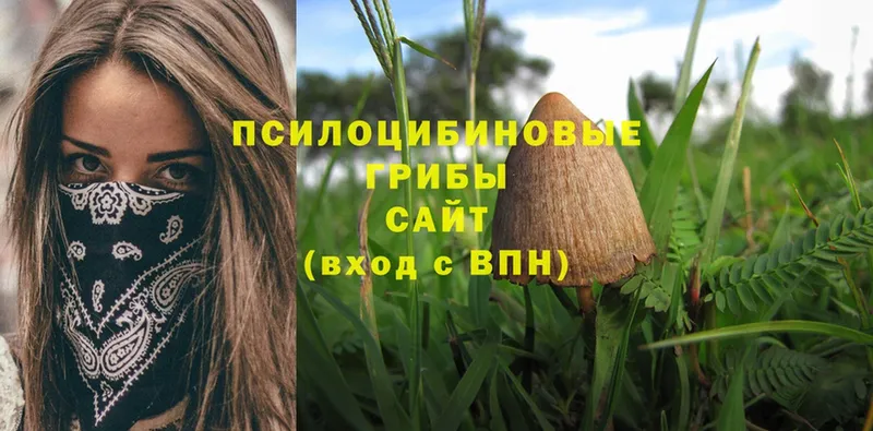 Галлюциногенные грибы Psilocybe  закладка  Дзержинский 